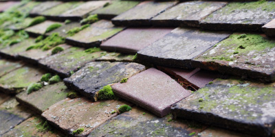 Higher Tranmere roof repair costs